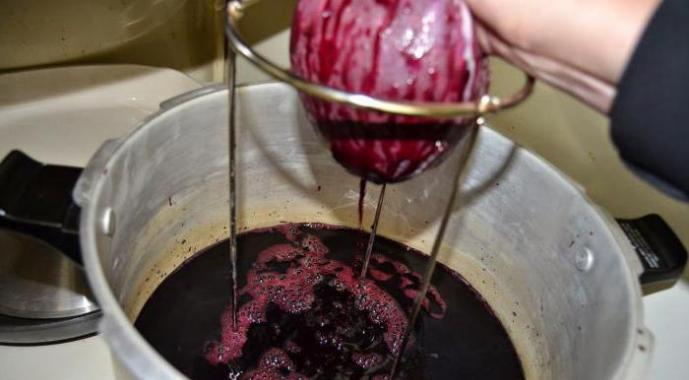 Rețete simple pentru a face vin de afine acasă Cum să faci vin de afine acasă