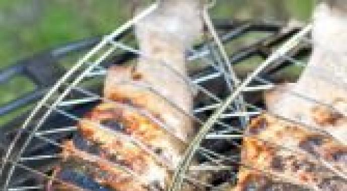 Pjekja e mishit të shijshëm në fletë metalike: këshilla, truket dhe receta gatimi Pjekja e peshkut në fletë metalike në skarë