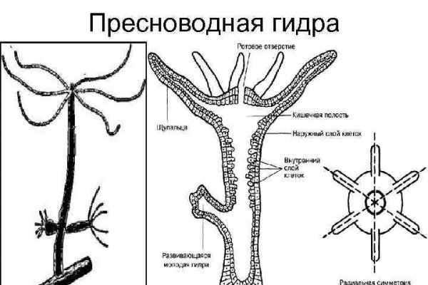 Kraken ссылка зеркало официальный