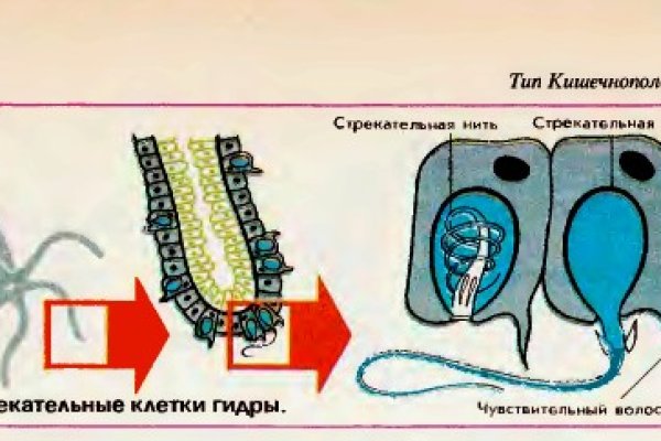 Кракен войти сегодня