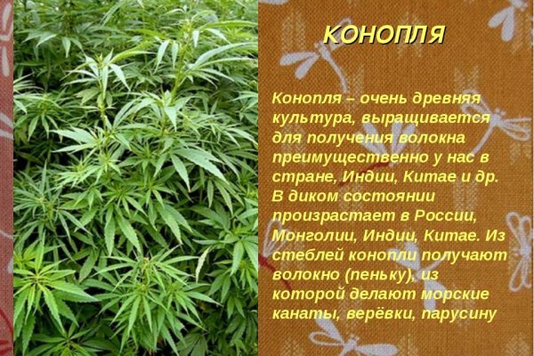 Что продают в кракен маркете
